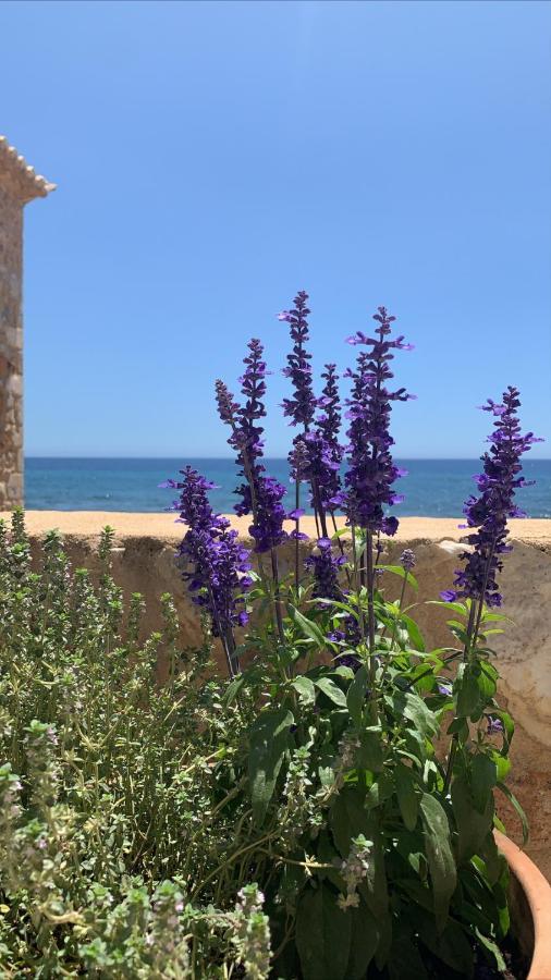 אגיוס ניקולאוס Selinitsa Residence Mani מראה חיצוני תמונה